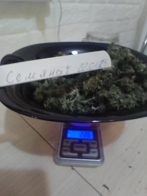 IMG_20250122_192545.jpg