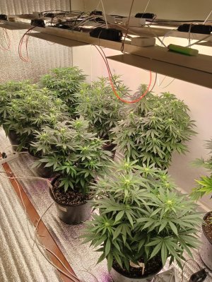 3152cc12-4e51-4fd3-9216-c7dfe81dcce9.jpg