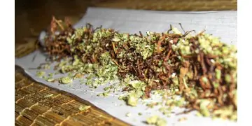 1743958306155.png