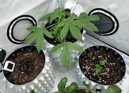 IMG_9131.jpeg