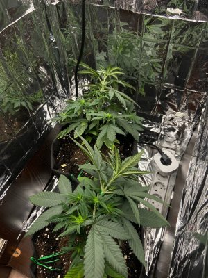 23.05.2025.jpg