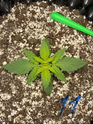 photo_2025-08-01_11-33-31.jpg