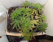 IMG_20250807_005404.jpg