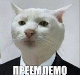 1757398940463.jpeg