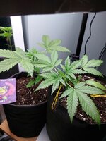 20251013_065626.jpg