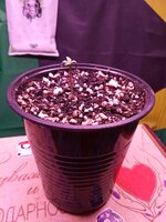 IMG_20251113_020016.jpg