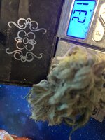 IMG_9198.jpeg