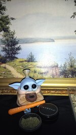 IMG_20251205_171028.jpg