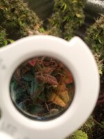 IMG_20251214_184109_827.jpg