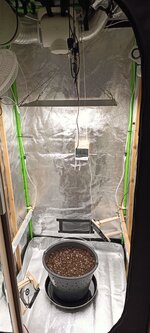 IMG_20251127_133738.jpg