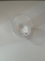 IMG_4826.jpeg