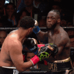 200w1111.gif 200w1111.gif