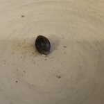 IMG_9613.jpeg