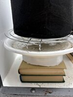 IMG_0811.jpeg