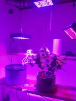 20260129_054323.jpg