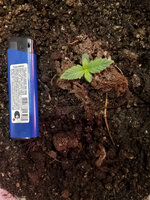 photo_2026-02-12_12-08-34.jpg