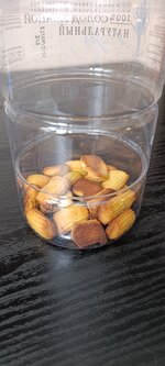 IMG_20260219_124535.jpg