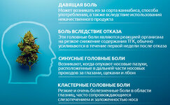 Vidy-golovnyh-bolej-ot-kannabisa__7iY3OvPnE0UPnqWK.jpg Vidy-golovnyh-bolej-ot-kannabisa__7iY3OvPnE0UPnqWK.jpg