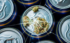 Ne-sovmeshchajte-kannabis-s-alkogolem__C2lrBySOAR08YRRl.jpg Ne-sovmeshchajte-kannabis-s-alkogolem__C2lrBySOAR08YRRl.jpg
