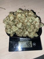 IMG_2268.jpeg