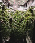 DAY 124 06.03.jpg.jpg