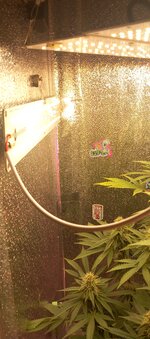 20260310_180114.jpg