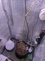 PXL_20260314_074151870.MP.jpg
