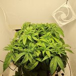 IMG_1057.jpeg
