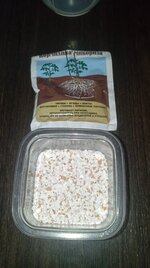 подг (5).jpg