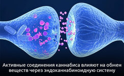 Uskorenie-metabolizma__wZadJXfZYPBi5Hcf.jpg Uskorenie-metabolizma__wZadJXfZYPBi5Hcf.jpg