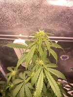 IMG_5613.jpeg