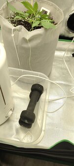 IMG_20260414_173709.jpg