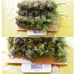 MyCollages (2).jpg