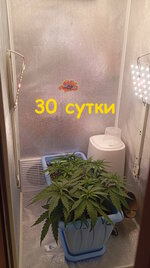 30 сут (1).jpg