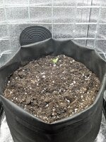 PXL_20260427_080647878.MP.jpg