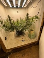 IMG_4149.jpeg