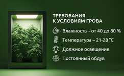 Usloviya-okruzhayushej-sredy-i-problemy,-svyazannye-s-nimi__SdThJ9iTB5pr44Z2.jpg