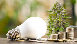 vyrashchivaem-konoplyu-ekonomya-elektroenergiyu-i-zabotyas-o-prirode__APkRZ9JPsLgBnR3q.jpg