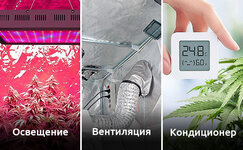 glavnye-istochniki-ehnergozatrat-pri-vyrashchivanii-konopli__Dh2bxaA8UVZycW8d.jpg