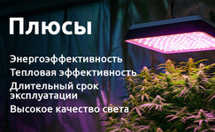 svet-kak-glavnyj-potrebitel-ehlektroehnergii__uGw9RrYeiemvrT6H.jpg