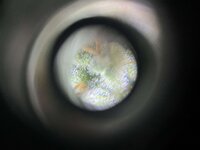 2 — копия.jpg