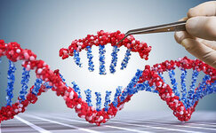 princip-raboty-crispr__bMpv25R2xKPE7ODM.jpg princip-raboty-crispr__bMpv25R2xKPE7ODM.jpg