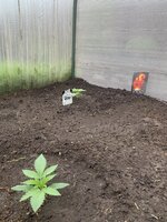 IMG_1102.jpeg
