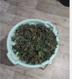 изображение_2026-05-24_163448479.png