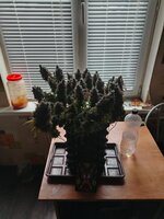 1000028078.jpg
