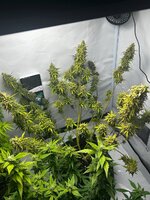 23.04.2026.jpg