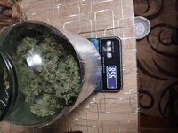 1000002811.jpg