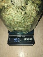 1000002819.jpg