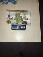 1000002820.jpg