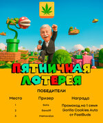lottery-05-06.jpg